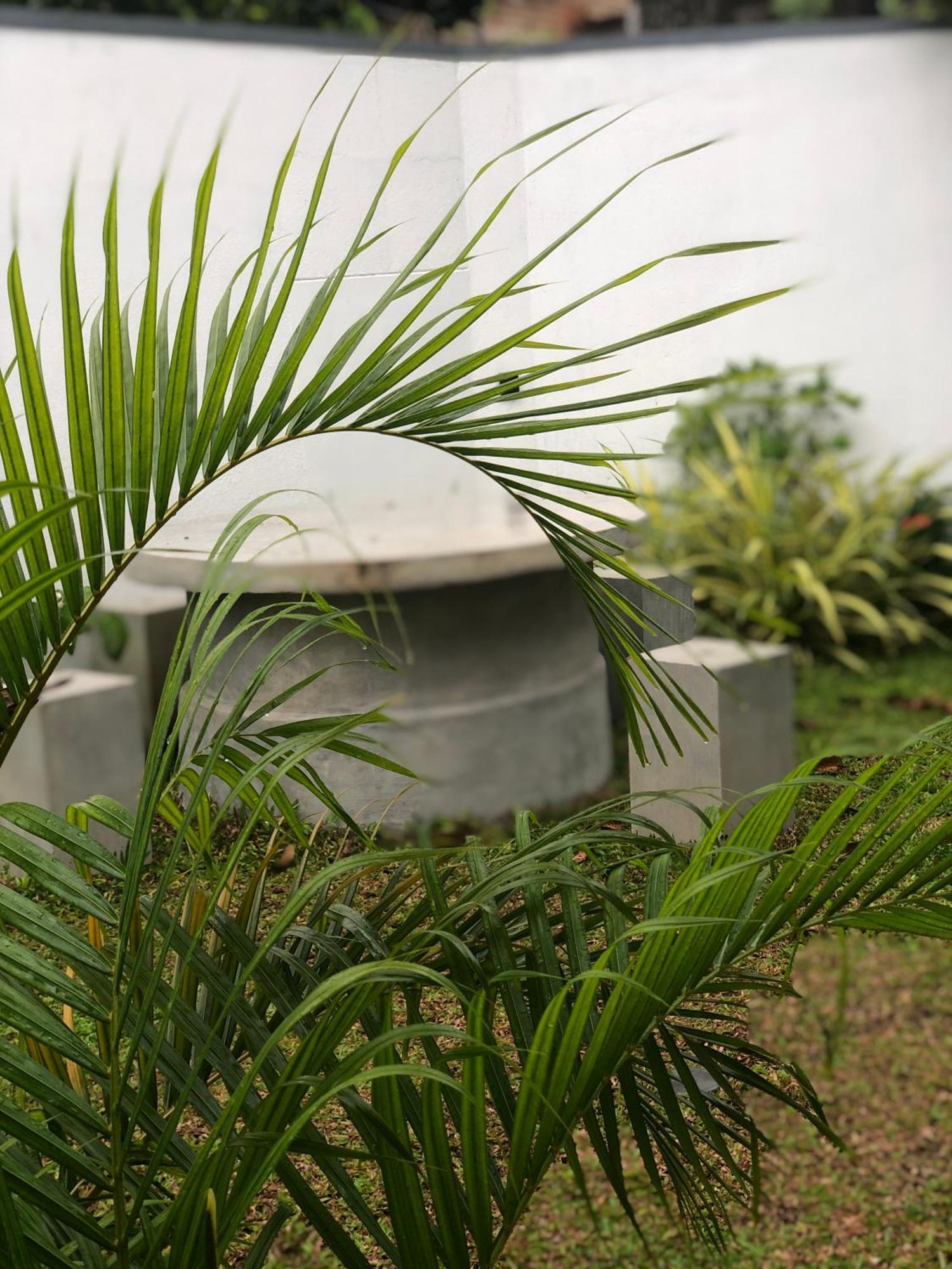Luvi'S Villa Galle Luaran gambar