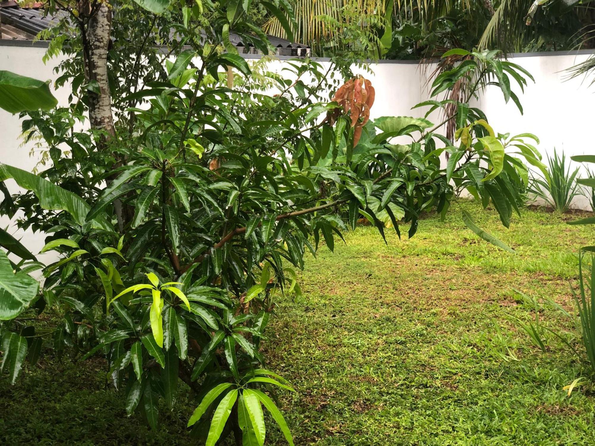 Luvi'S Villa Galle Luaran gambar
